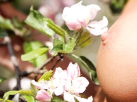 Katya Clover 3 (Outdoor)