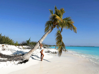 Katya Clover 3 (Outdoor)