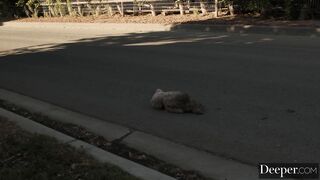 Starlet - Emily Willis