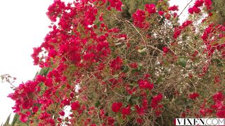 Preferential Treatment