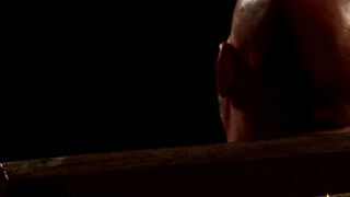 Harlequin Romance Bird Of Prey